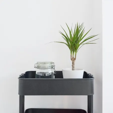 Hygge Center Near To The Free Parking 2r Malaga